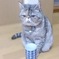 どうぞお茶でも