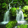 Beautiful green...