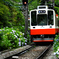 箱根登山鉄道