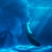 ハナちゃんの水飛沫は特大だね(^.^)/