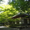 夏の佛通寺
