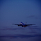 ｆｌｙ