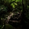 蒸し蒸し登山