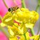 IMG_20190413_024744