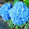 IMG_20210605_153943_929