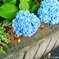 IMG_20210605_153943_923