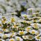 IMG_20190418_180623