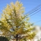 Point Blur_20201122_201824