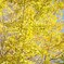 IMG_20201122_195155_835