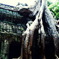 ta prohm