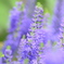 11F6F218-F6E1-413D-AC84-BCBF0FCE18E9