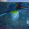 ペンギン