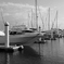 yacht harbor/Nishinomiya