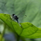 6B018755-0050-41CD-9C63-9CD26F244434