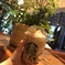 Tokyo Frappuccino