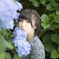 紫陽花ポトレ