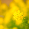 4DC7D014-7E8C-42D5-AED2-24E20BB1EDCB