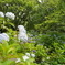 DSC00702