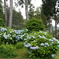 DSC00690