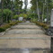 DSC00692