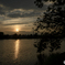 _Z617288
