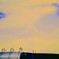 _DSC0687~3