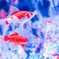 金魚