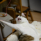 まる！！