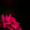 F02D63BB-A3DB-4C6E-AEAB-587082821748