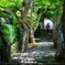 京都大原　寂光院