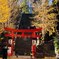 90D6F300-8950-451A-A9F7-1FB9177FB12F