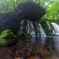 Clear stream