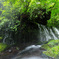 Mist flow