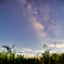 PSX_20210620_121800