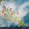 _DSC0778~2