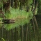 奈良県の龍王ヶ淵での一コマ