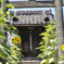神社とひまわり