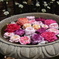 薔薇4