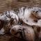 fluffy