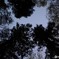 暗がり公園
