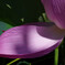 R0000321