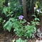 IMG_20210627_161005