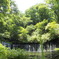 白糸の滝