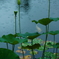 雨滴