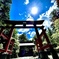 太陽を纏う鳥居