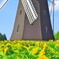 暑い夏