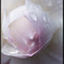 _IGP1140a