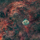 NGC6888_2021.07.19