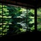 瑠璃光院