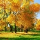 Landscape photo
